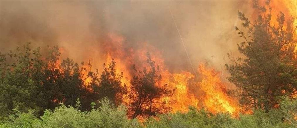 Φωτιές σε Ωραιόκαστρο, Τρίκαλα, Λάρισα, Λακωνία και Ρέθυμνο