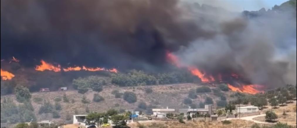Φωτιά στην Κερατέα: Κάηκαν σπίτια, εκκενώθηκαν οικισμοί (εικόνες)