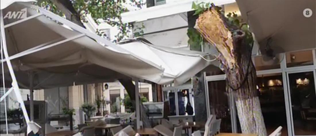 Λαχτάρησαν Πάιατ και Μενέντεζ: Δέντρο κατέρρευσε στο εστιατόριο που δειπνούσαν