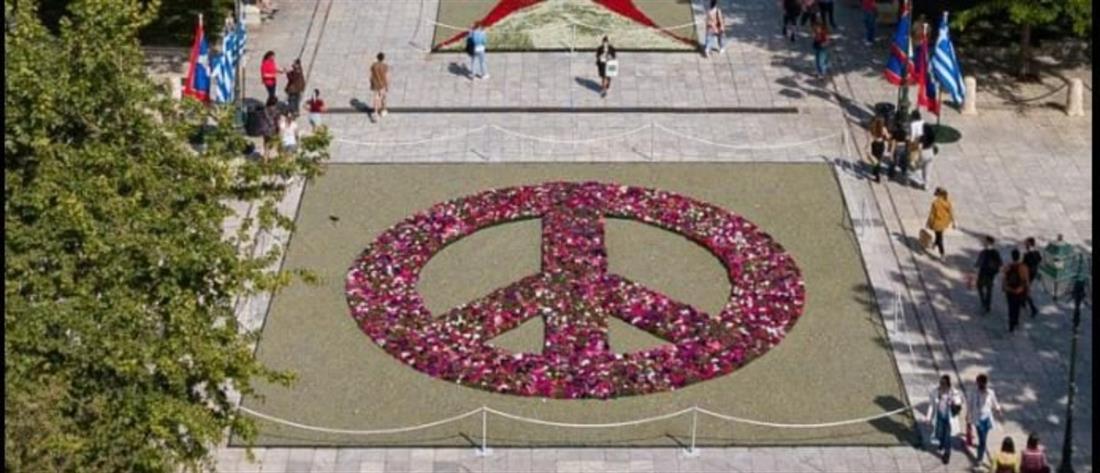 Πρωτομαγιά: Το Σύνταγμα στολίστηκε με το σήμα της Ειρήνης με 13600 λουλούδια (εικόνες)