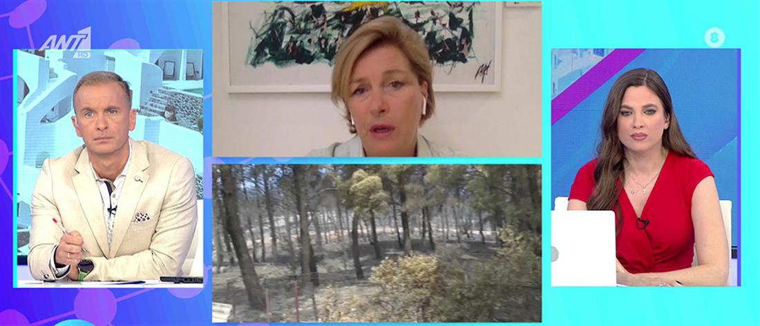 Φωτιές - Γκάγκα: χωρίς πράσινο η κατάσταση θα είναι πιο ασφυκτική (βίντεο)