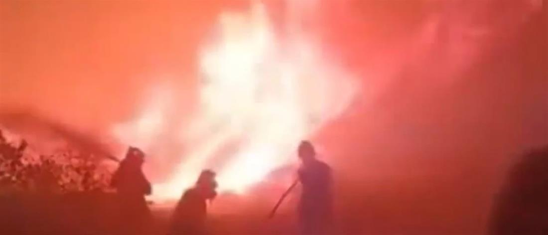 Φωτιά στην Ρόδο - Λάερμα: Πώς ο αέρας “κυκλώνει” με εστίες σπίτια και δάση (βίντεο)