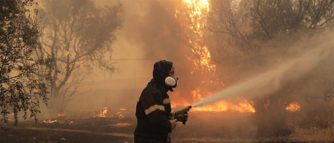 Πολύ υψηλός κίνδυνος πυρκαγιάς σε πέντε περιφέρειες το Σάββατο (χάρτης)