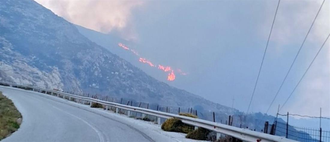 Φωτιά στην Νάξο: Ενισχύσεις με πυροσβέστες από Αθήνα και Σύρο (εικόνες)