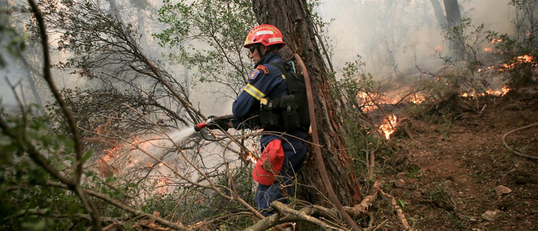 Φωτιές: πύρινα μέτωπα σε αρκετές περιοχές της Ελλάδας