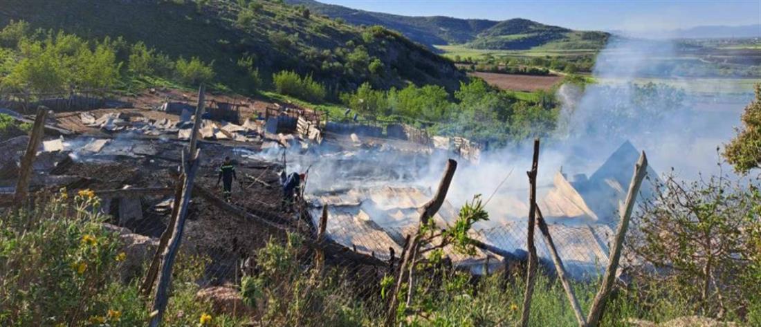 Τρίκαλα - φωτιά σε στάβλο: κάηκαν δεκάδες ζώα