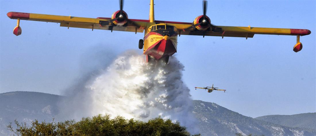 Φωτιές: 680 πυροσβέστες σε Γορτυνία και Ηλεία 