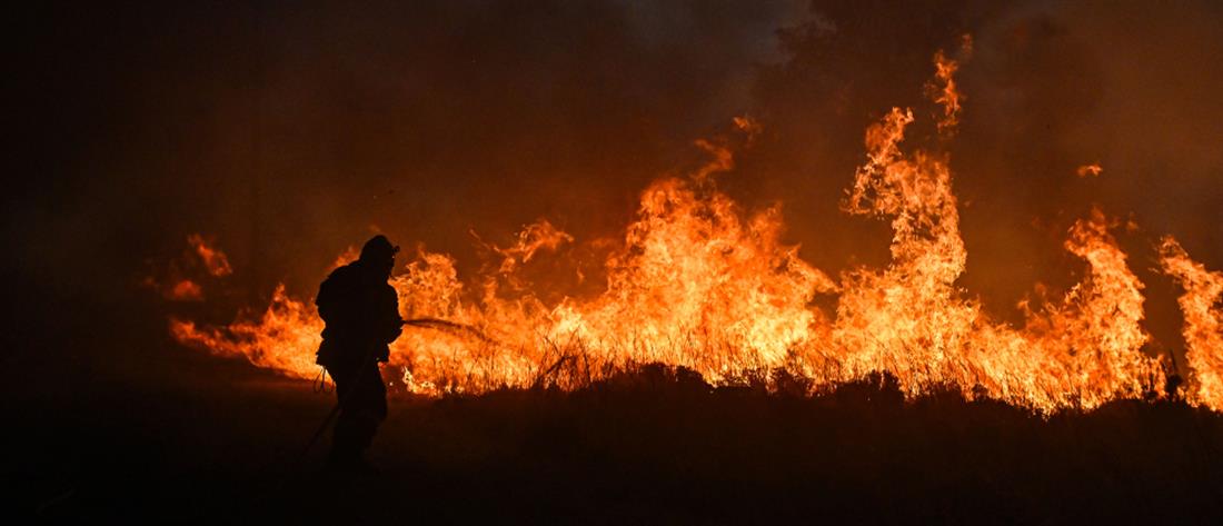 Μαραθώνας: Φωτιά στον Σχινιά