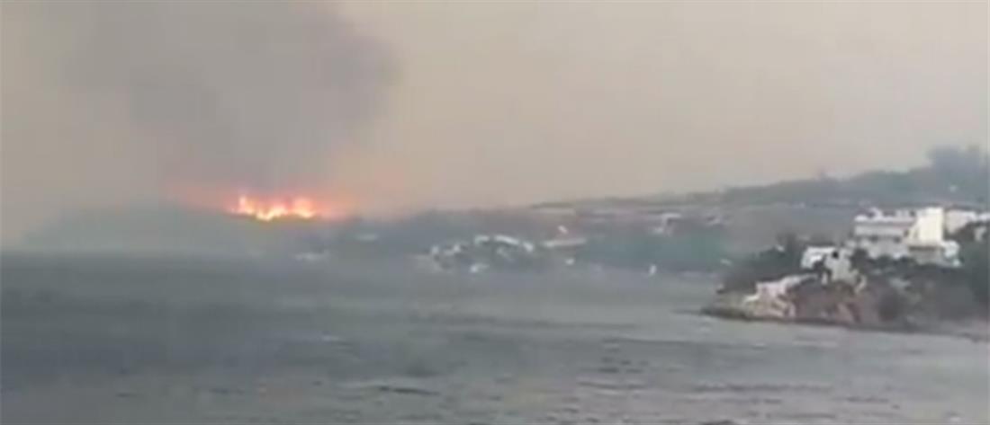 Φωτιά στην Εύβοια: Μαίνεται το πύρινο μέτωπο κοντά στο Μαρμάρι (βίντεο)