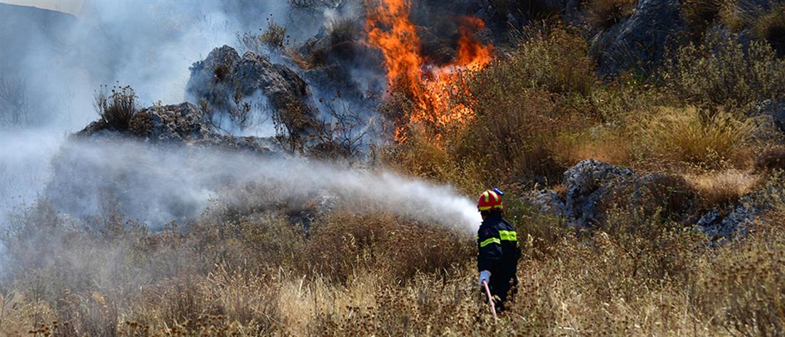 Αμαλιάδα: Φωτιά στο Κρυονέρι