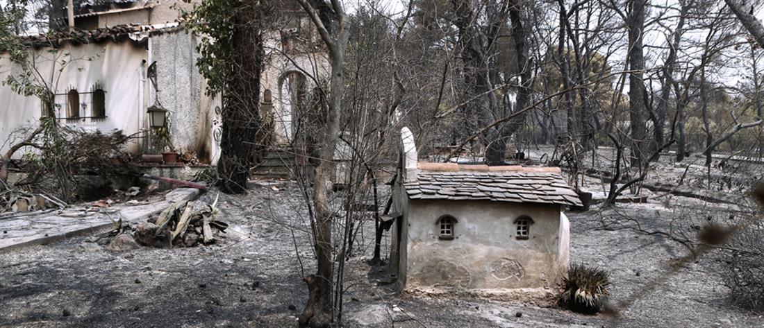 Φωτιές - Σταϊκούρας: Πότε θα δοθούν οι πρώτες αποζημιώσεις στους πυρόπληκτους