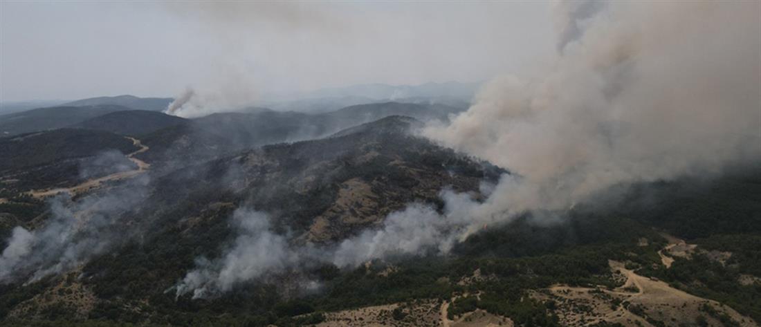 Φωτιά στη Δαδιά: Σε πύρινο κλοιό το δάσος για 5η μέρα (εικόνες)