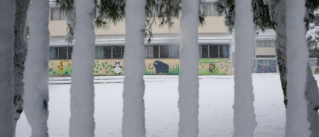 Κακοκαιρία “Avgi” - Σχολεία: Που θα είναι κλειστά την Τετάρτη