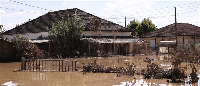 Πλειστηριασμοί - Θεσσαλία: Παράταση στην αναστολή για τους πλημμυροπαθείς