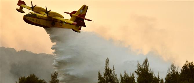 Φωτιά στην Φιλιππιάδα Πρέβεζας - Κινητοποιήθηκαν 5 αεροσκάφη