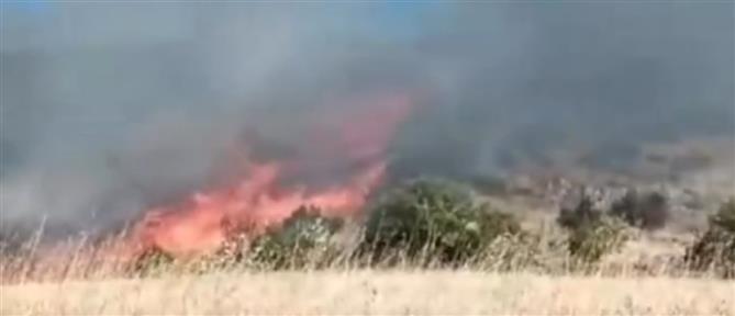 Κικίλιας: Σε λιγότερο από μιάμιση ώρα αντιμετωπίστηκε η πυρκαγιά στα Δερβενοχώρια (βίντεο)