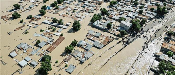 Νιγηρία: Κροκόδειλοι διέφυγαν από ζωολογικό κήπο μετά από πλημμύρα