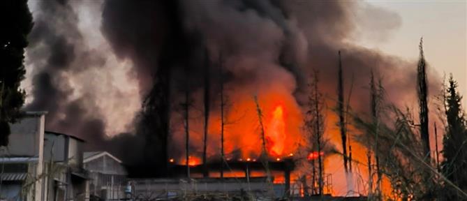 Αχαΐα - Φωτιά σε εργοστάσιο: Αποπνικτική η ατμόσφαιρα από το τοξικό νέφος (εικόνες)
