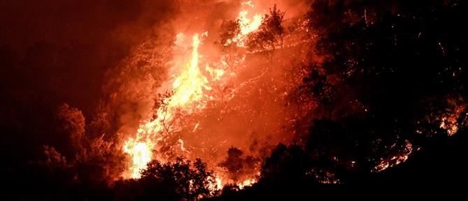 Πυροσβεστική: 62 αγροτοδασικές πυρκαγιές το τελευταίο 24ωρο