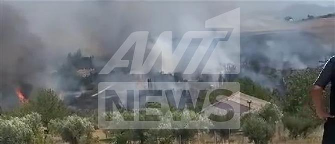 Θεσσαλονίκη: Φωτιά στον Τρίλοφο - Στα σπίτια έφτασαν οι φλόγες (βίντεο)